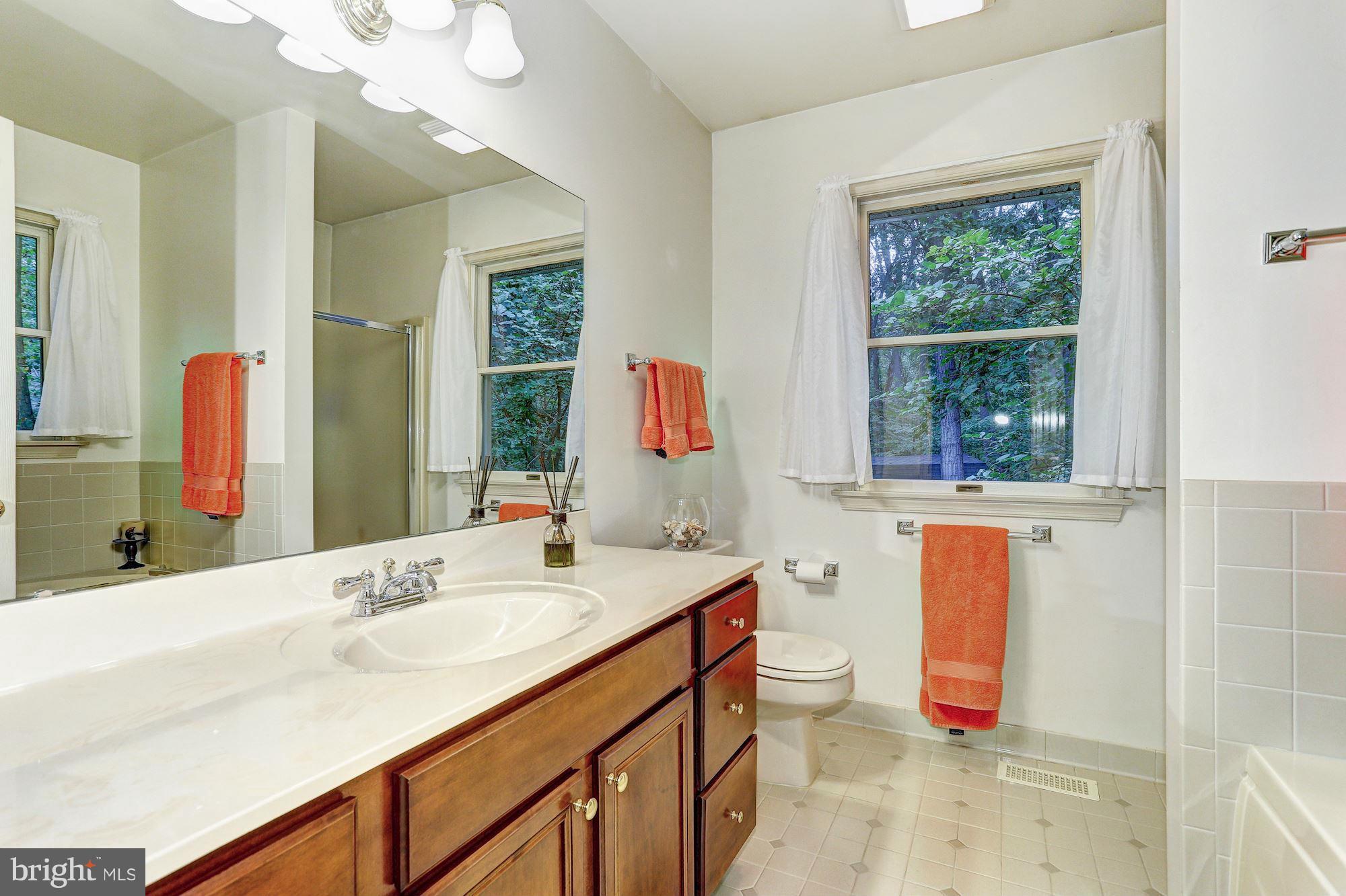 4006 Roop Road New Windsor, MD 21776 - Photo 11 of 22 a bathroom with a sink and a mirror