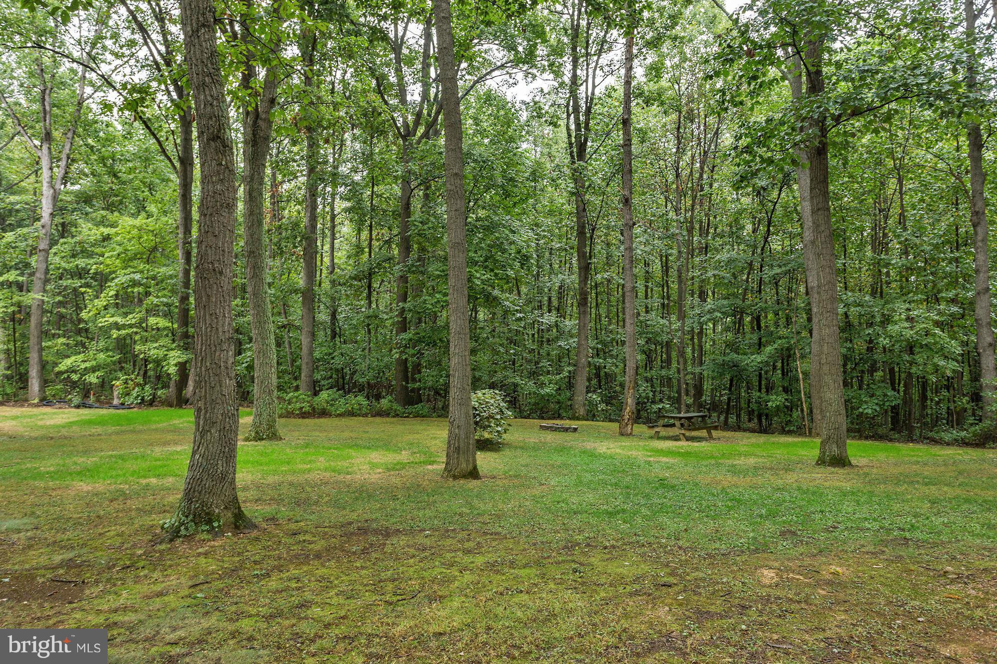 4006 Roop Road New Windsor, MD 21776 - Photo 17 of 22 a backyard of a house with lots of green space