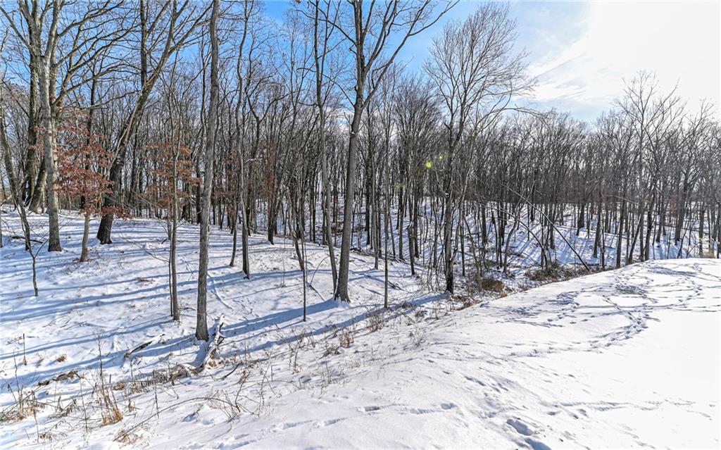 307 Azalea Lane Mars, PA 16046 - Photo 34 of 48