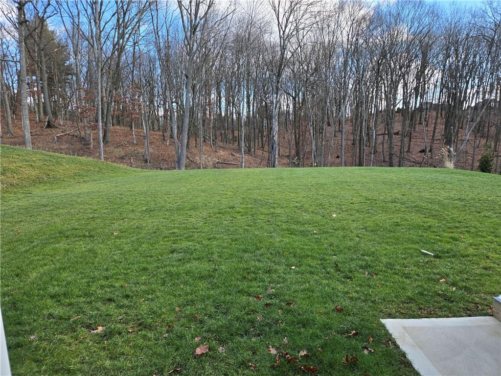 307 Azalea Lane Mars, PA 16046 - Photo 37 of 48