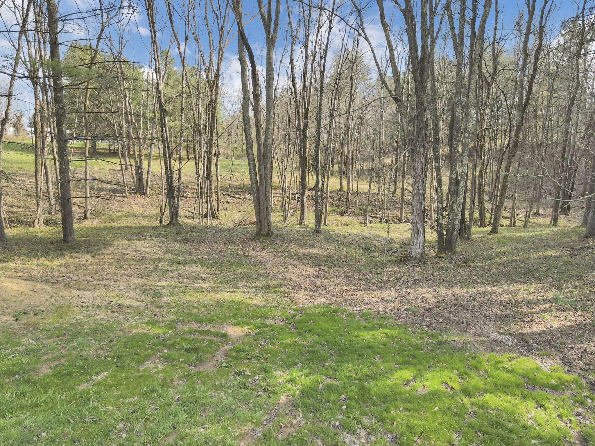 11135 Salem Road Athens, OH 45701 - Photo 70 of 90 70-web-or-mls-DJI_0378