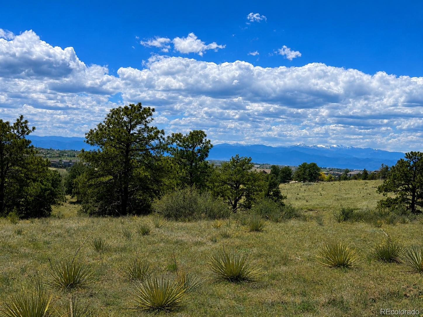 Forest Rim Road Aurora, CO 80016 - Photo 8 of 10