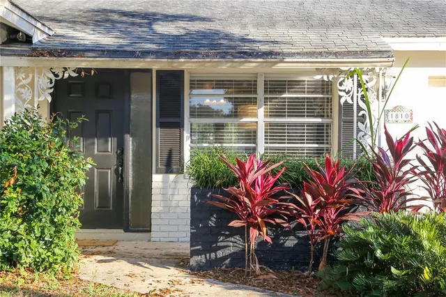 a potted plant in front of a building
