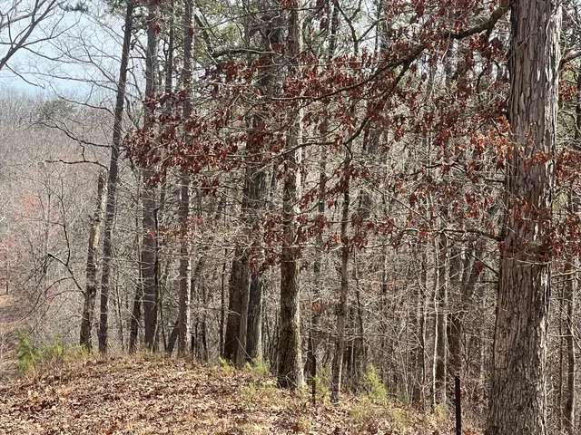 $249,900 | 11734 Armstrong Road, Soddy Daisy, TN 37379