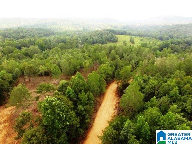 22-acres Clairmont Springs Road, Unit 22 ACRES Lineville, AL 36266 - Photo 1 of 16