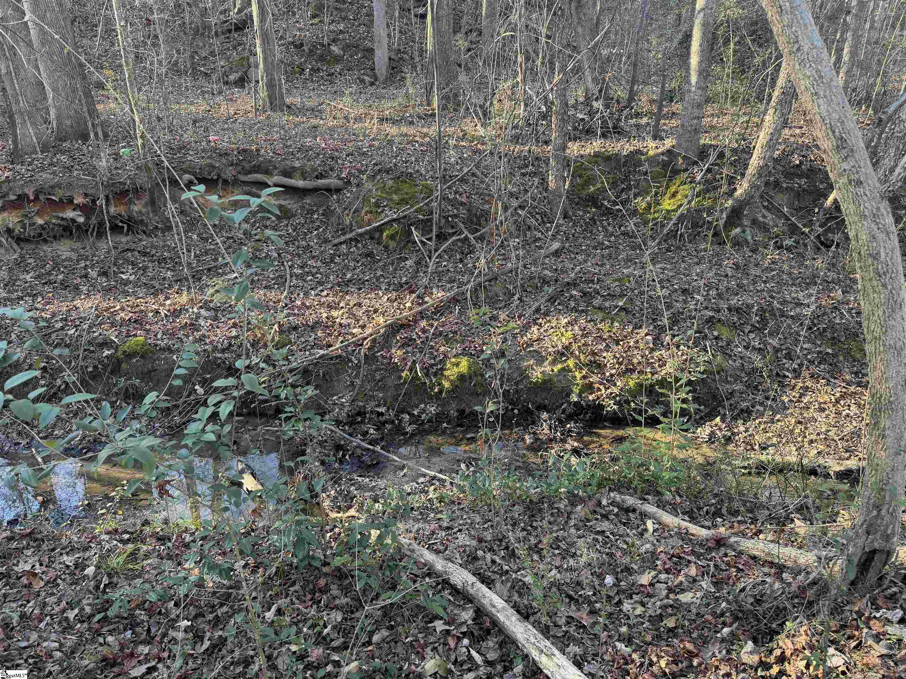 508 Jerusalem Road, Unit LOT 3 Pacolet, SC 29372 - Photo 4 of 9