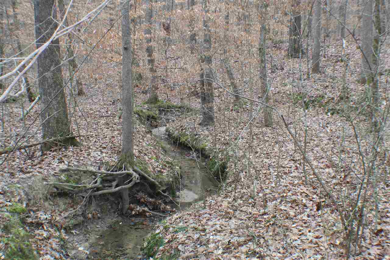 5606 Forgy Mill Road Dunmor, KY 42339 - Photo 18 of 28 Gallery Image 18