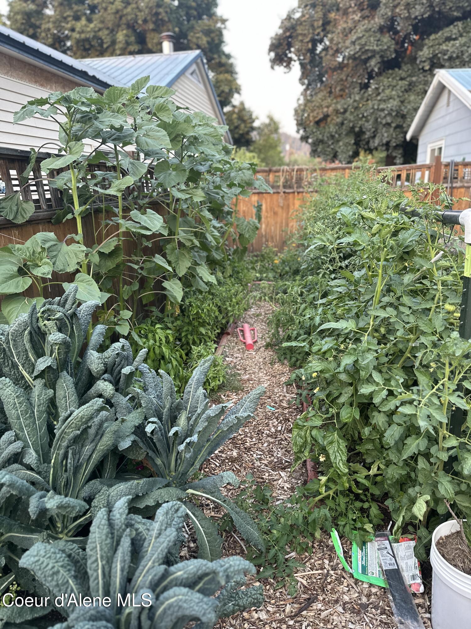 1709 North 7th Street Coeur D'Alene, ID 83814 - Photo 50 of 50 Garden