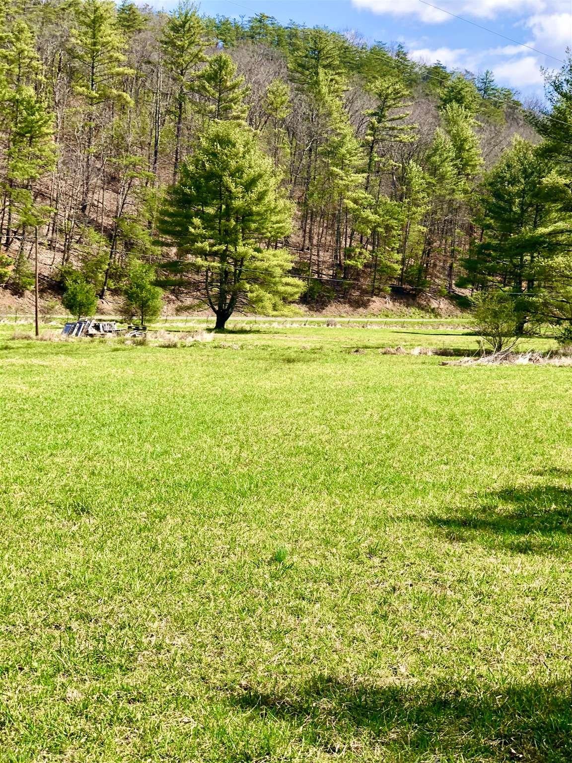 26-acres Spur Branch Road Dublin, VA 24084 - Photo 7 of 10 Gallery Image 7