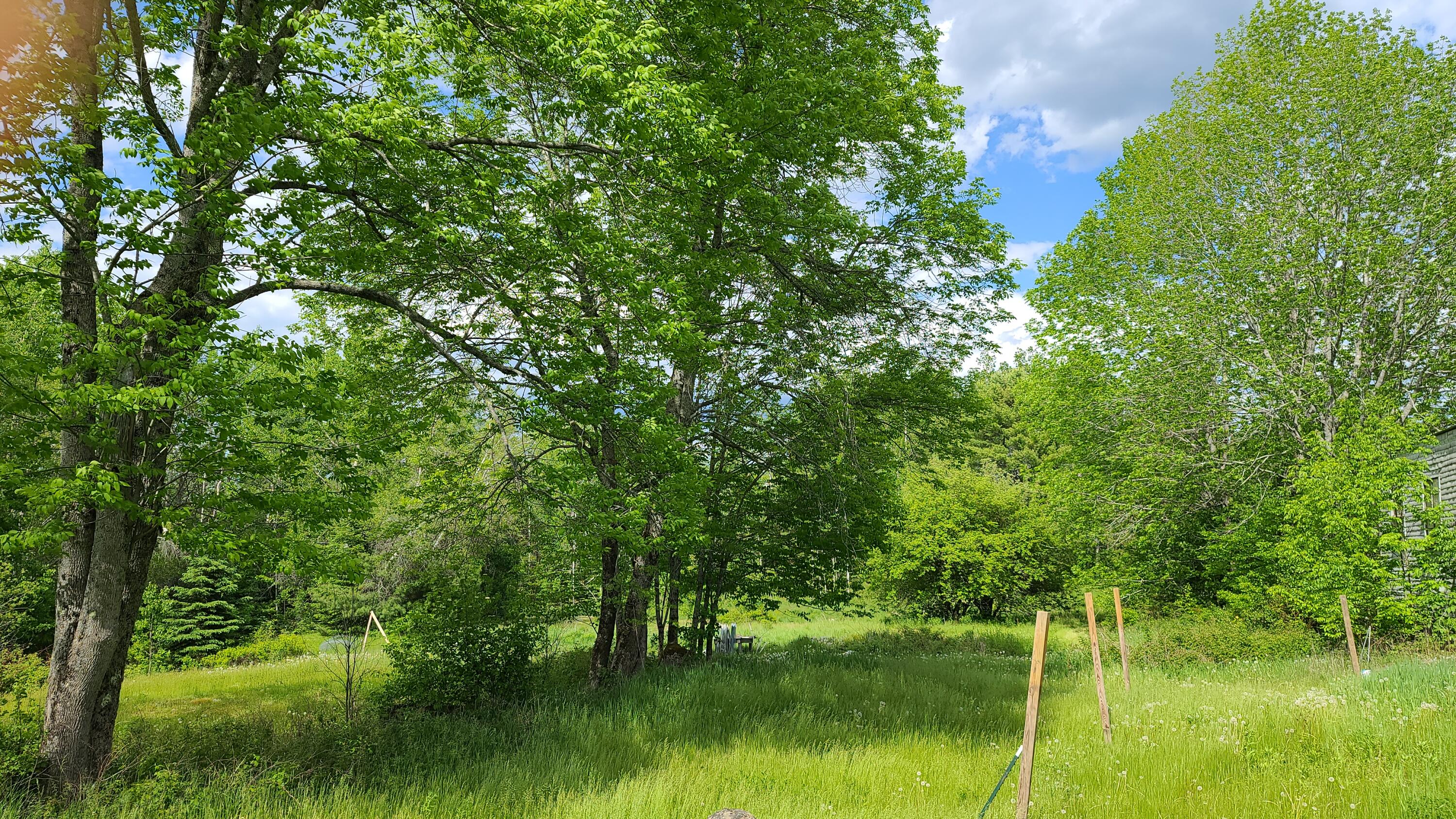 614 Airline Road Amherst, ME 04605 - Photo 8 of 31 20210602_153104