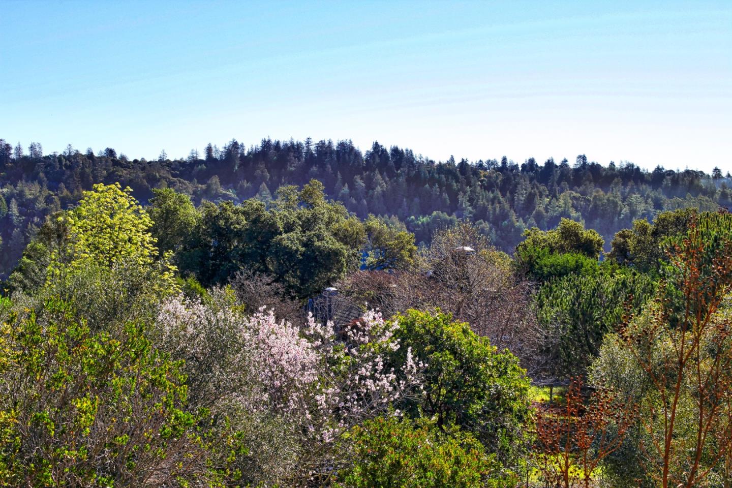 2494 North Rodeo Gulch Road Soquel, CA 95073 - Photo 11 of 34 a view of a bunch of flowers and trees