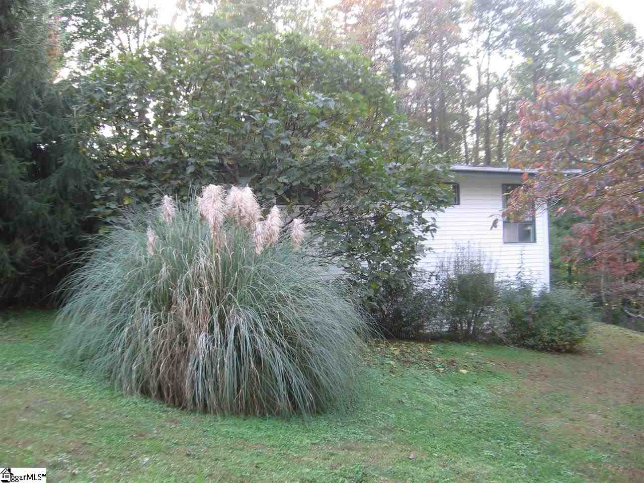 719 Chestnut Ridge Road Marietta, SC 29661 - Photo 2 of 25 Gallery Image 2
