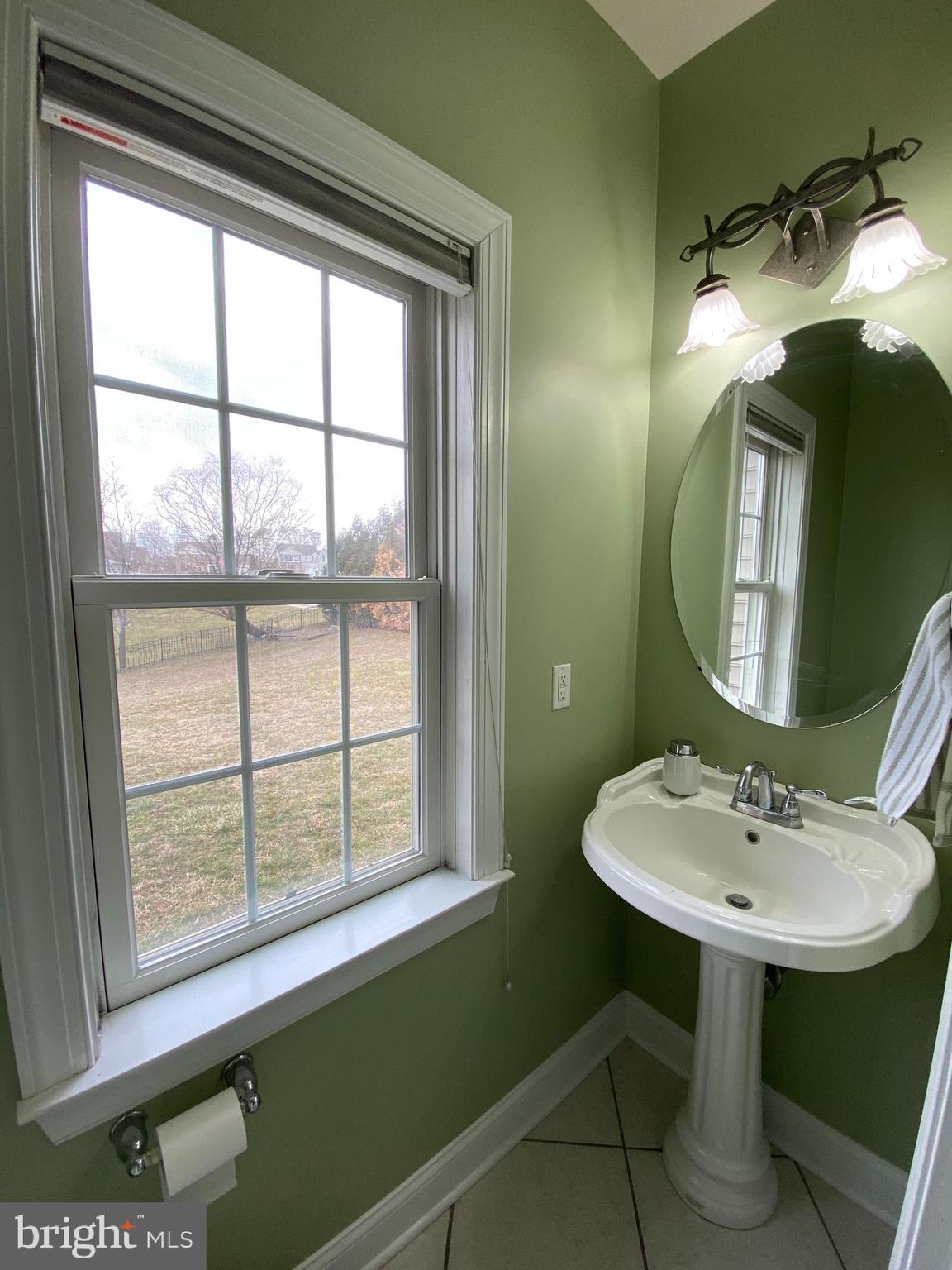 145 Long View Carlisle, PA 17013 - Photo 9 of 27 a bathroom with a sink and a mirror