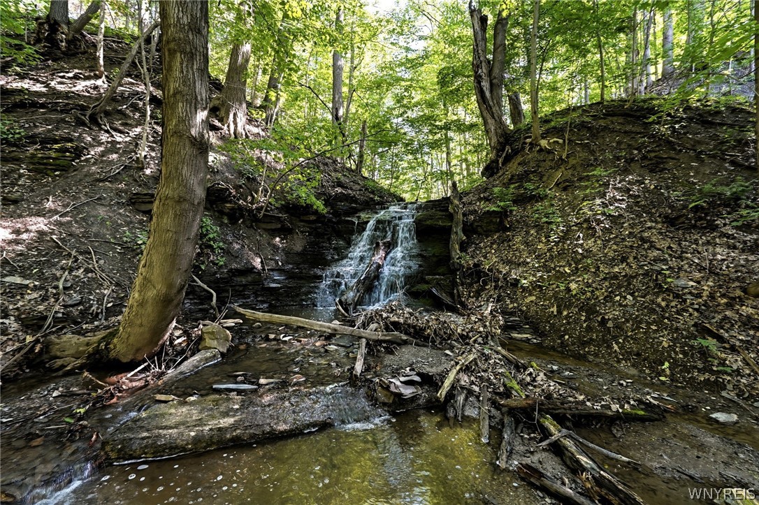 1536 South Creek Road Evans, NY 14047 - Photo 40 of 50
