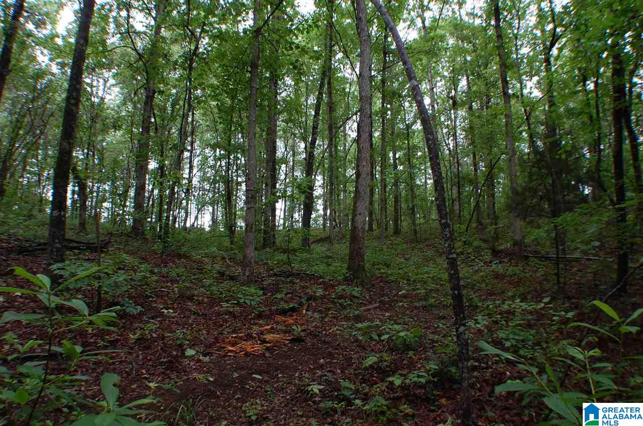 950 County Road 478, Unit 1 Clanton, AL 35046 - Photo 26 of 31