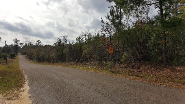1174 Mudline Road Magnolia, MS 39652 - Photo 3 of 13 Photo 4