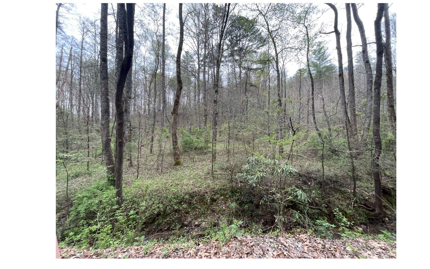 221 Greasy Creek Road Murphy, NC 28906 - Photo 4 of 13 Additional View