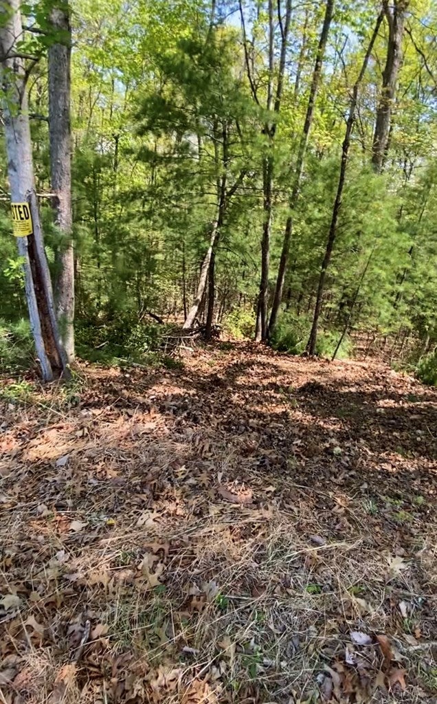 Tbd Ahart Ridge Road Ararat, VA 24053 - Photo 10 of 27 Gallery Image 10