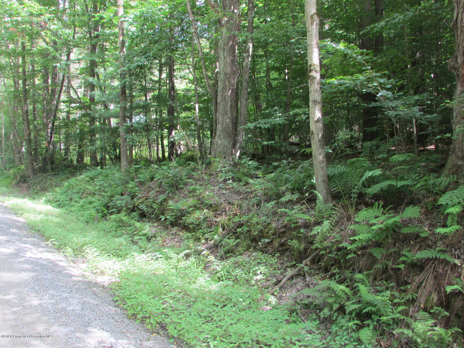 574 Brinton Road Brackney, PA 18812 - Photo 15 of 16 Road frontage