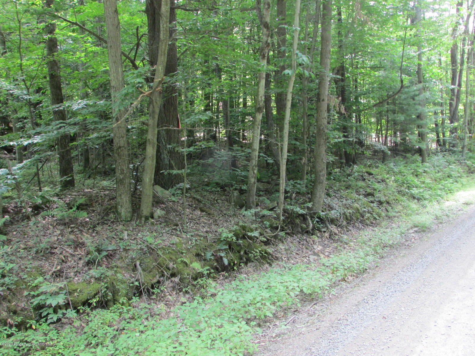 574 Brinton Road Brackney, PA 18812 - Photo 16 of 16 Road frontage