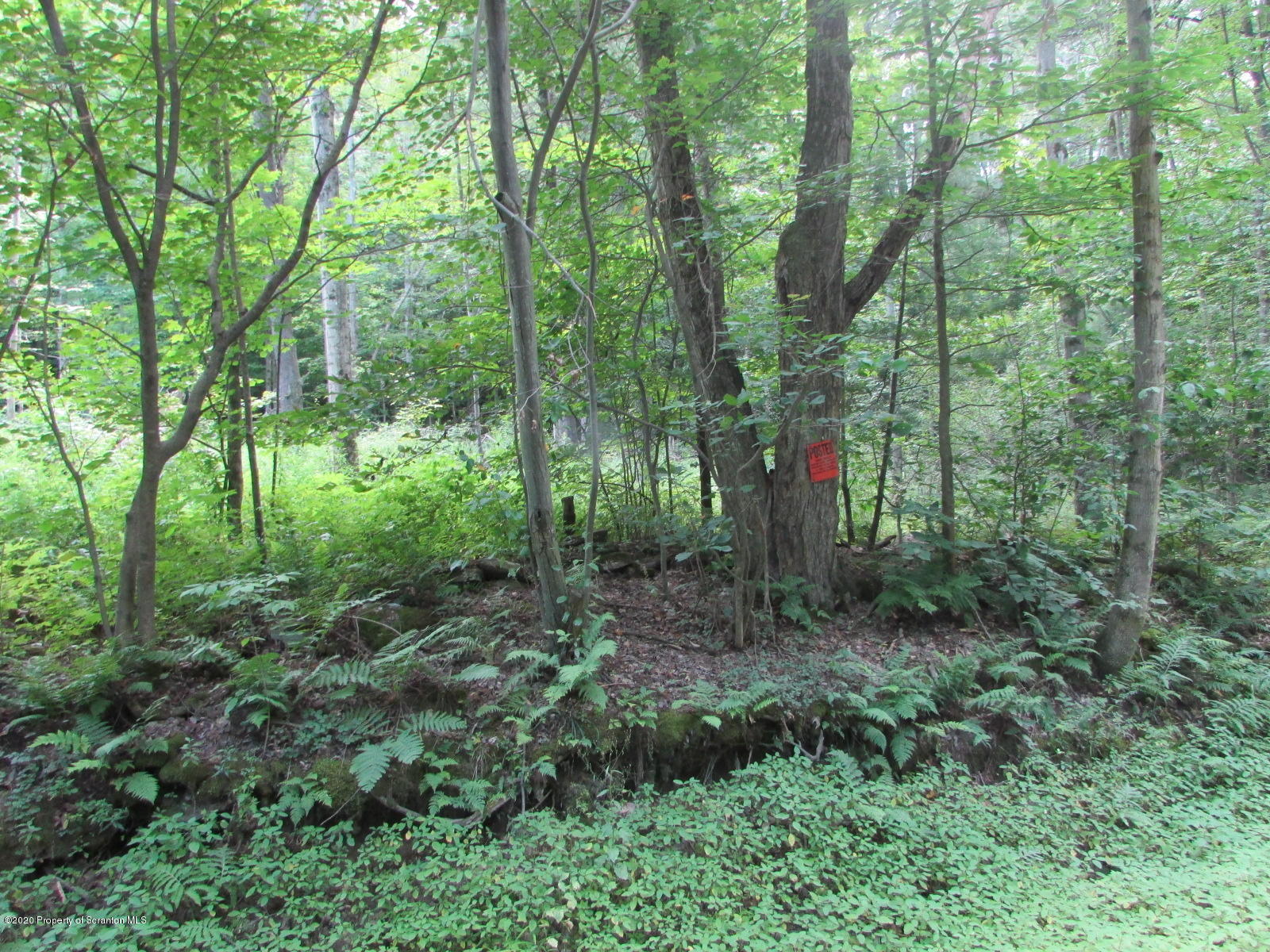 574 Brinton Road Brackney, PA 18812 - Photo 5 of 16 View from road