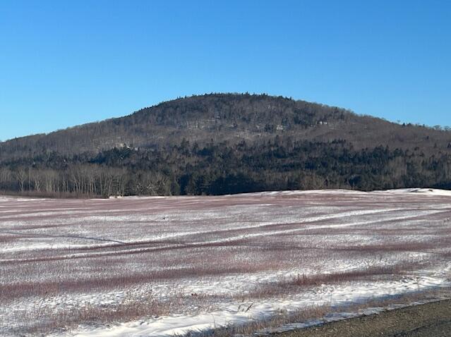 715 Great Pond Road Aurora, ME 04408 - Photo 24 of 42 20250123155506038707000000-o