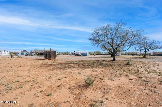 a view of dirt yard with a large tree