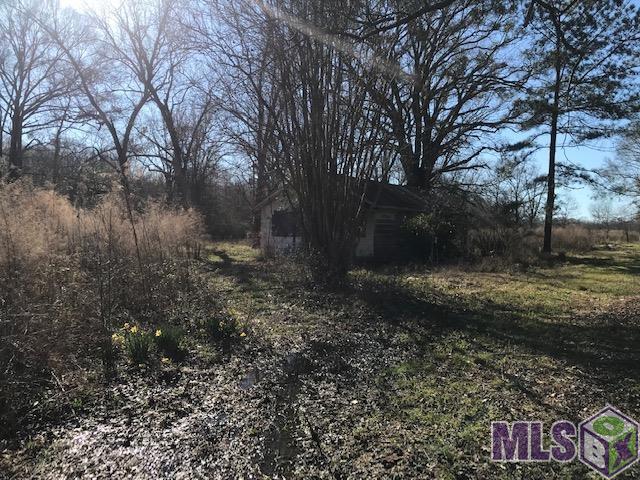 21571 Ligon Road Zachary, LA 70791 - Photo 3 of 6