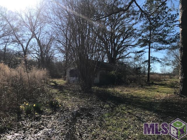 21571 Ligon Road Zachary, LA 70791 - Photo 4 of 6
