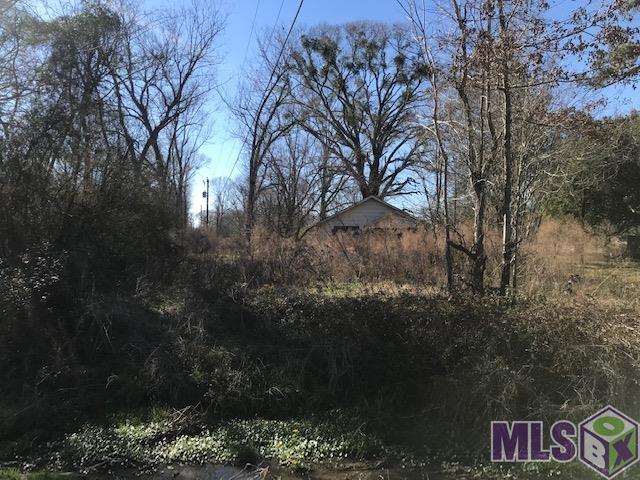 21571 Ligon Road Zachary, LA 70791 - Photo 5 of 6