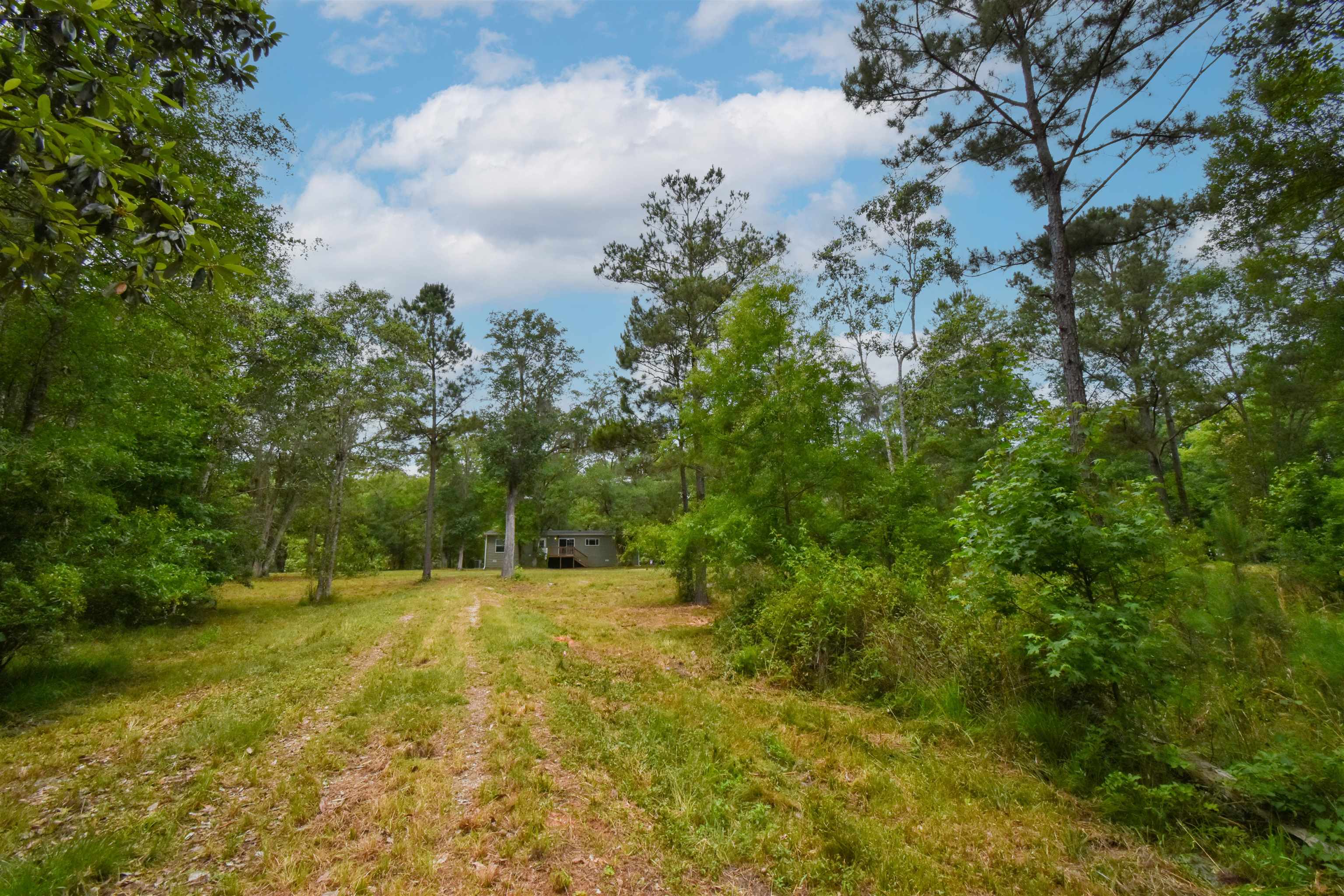 4013 McCall Bridge Road Quincy, FL 32351 - Photo 32 of 37
