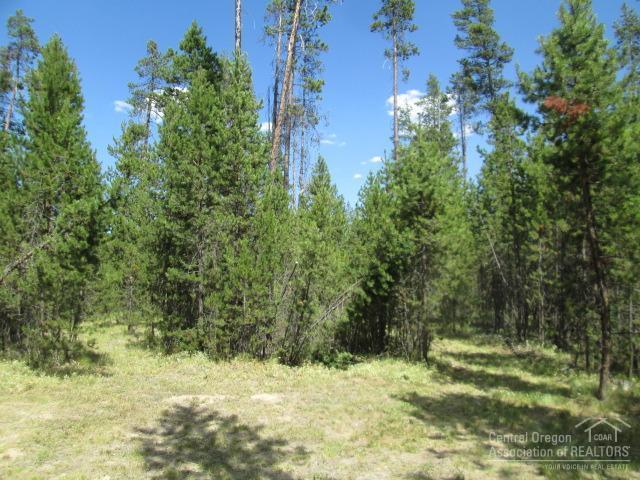 55980 Browning Drive Bend, OR 97707 - Photo 14 of 25 Additional Photo