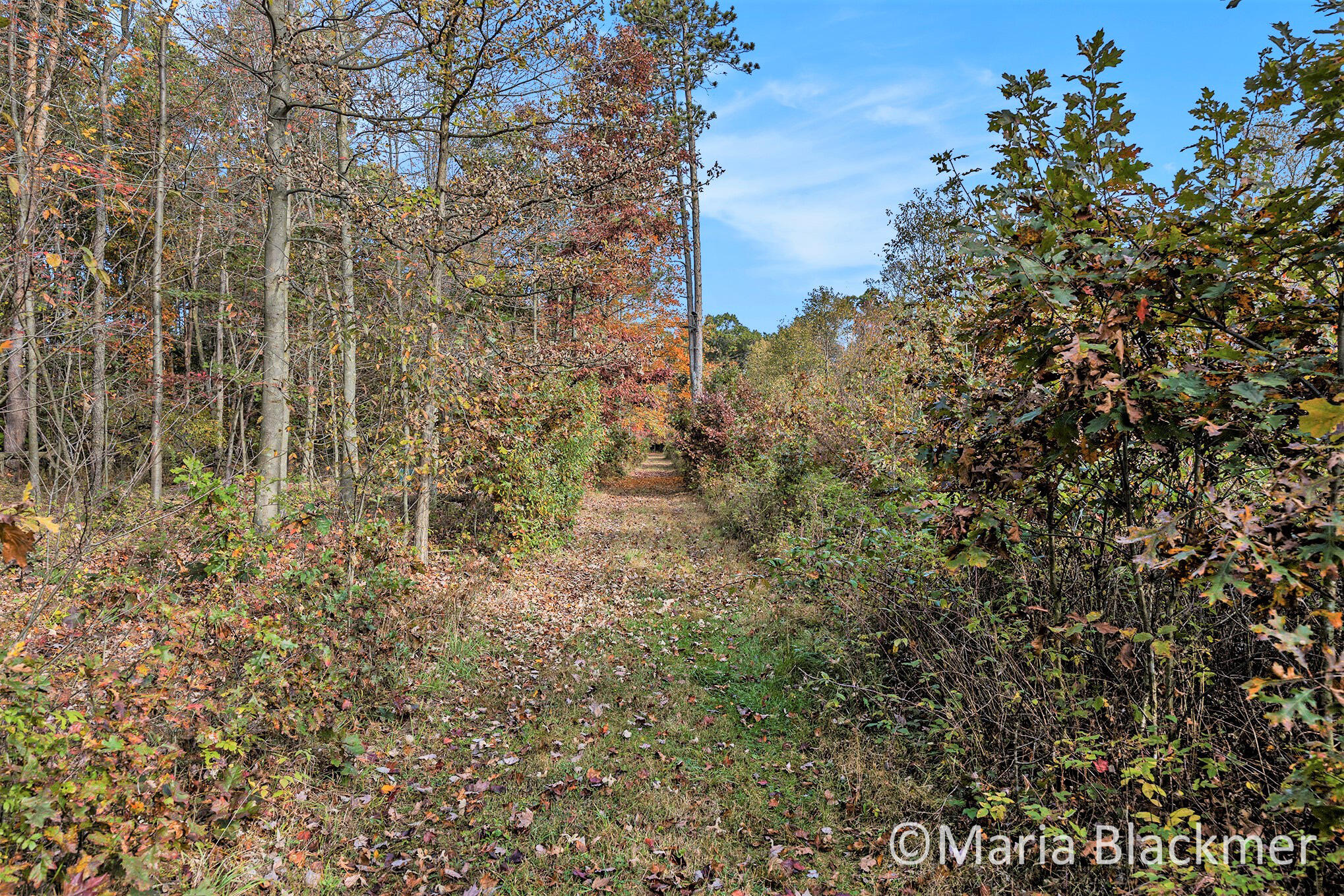 5717 East Charles-03