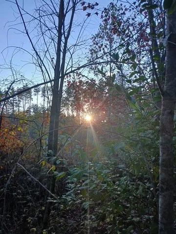 $125,000 | East Charles Road, Ionia, MI 48846