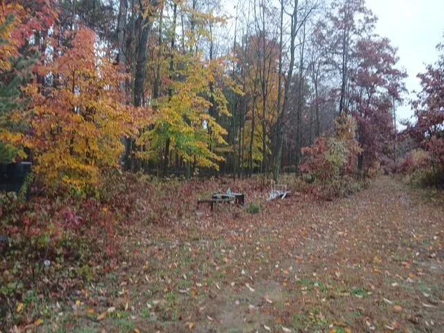 $125,000 | East Charles Road, Ionia, MI 48846