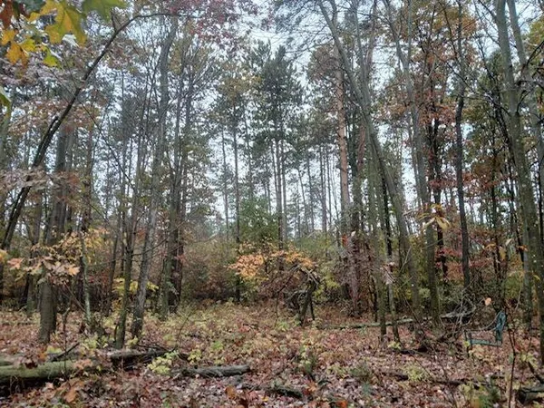 $125,000 | East Charles Road, Ionia, MI 48846