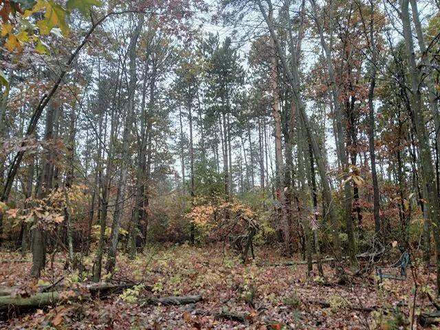 $125,000 | East Charles Road, Ionia, MI 48846