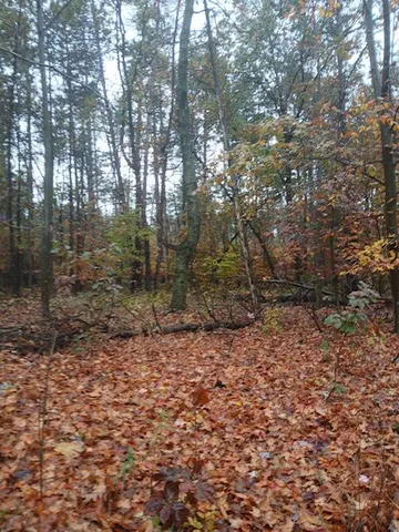 $125,000 | East Charles Road, Ionia, MI 48846