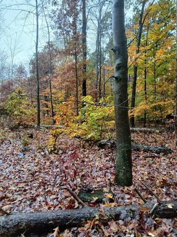 $125,000 | East Charles Road, Ionia, MI 48846