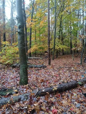 $125,000 | East Charles Road, Ionia, MI 48846