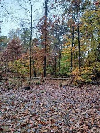 $125,000 | East Charles Road, Ionia, MI 48846