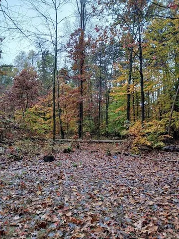 $125,000 | East Charles Road, Ionia, MI 48846