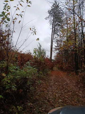 $125,000 | East Charles Road, Ionia, MI 48846