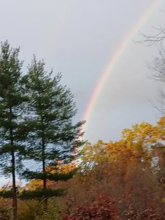 $125,000 | East Charles Road, Ionia, MI 48846