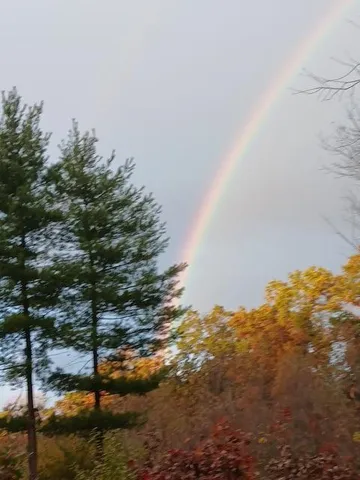 $125,000 | East Charles Road, Ionia, MI 48846