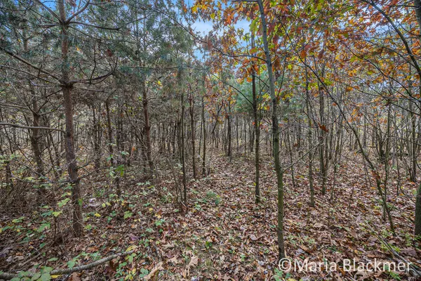 $125,000 | East Charles Road, Ionia, MI 48846