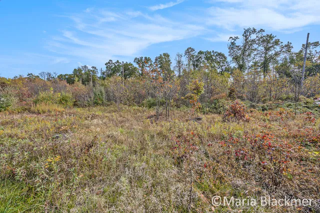 $125,000 | East Charles Road, Ionia, MI 48846