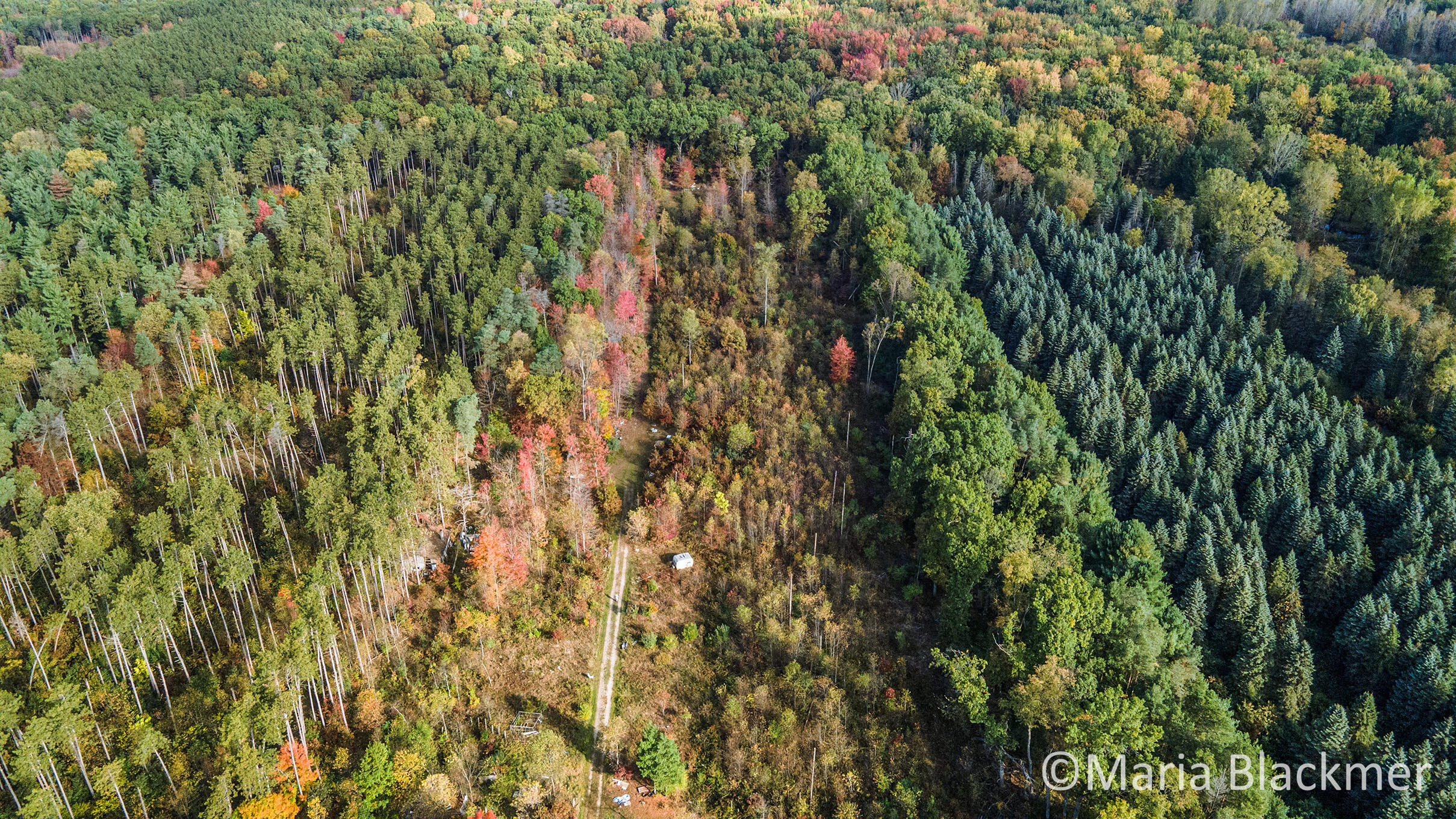 East Charles Road Ionia, MI 48846 - Photo 6 of 21 DJI_0857