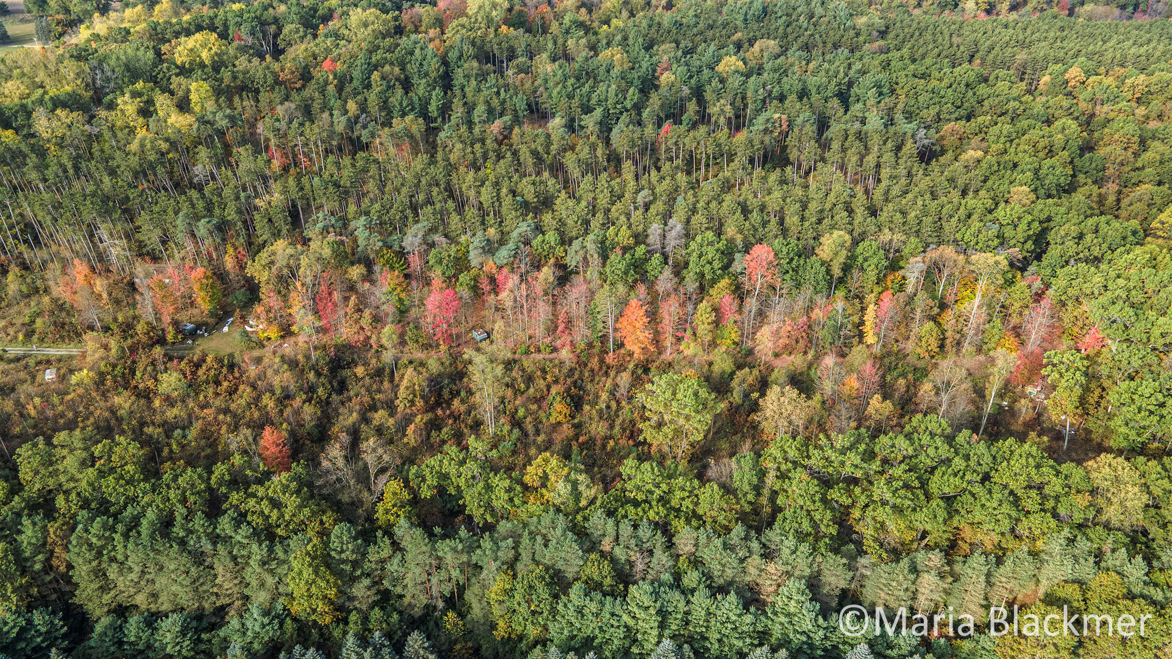 East Charles Road Ionia, MI 48846 - Photo 7 of 21 DJI_0858