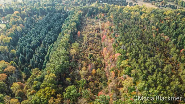 $125,000 | East Charles Road, Ionia, MI 48846